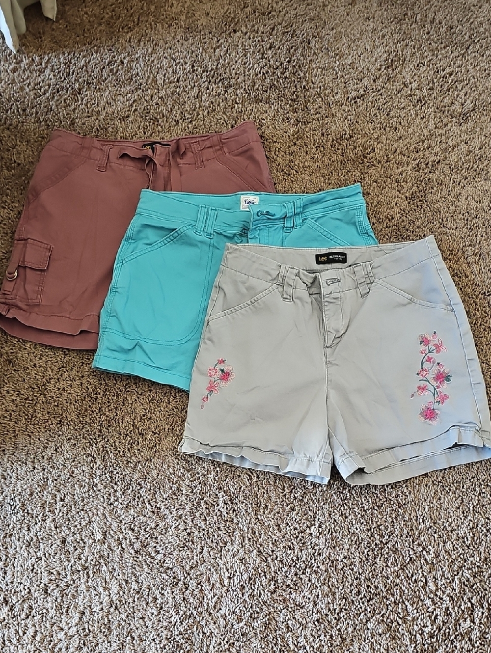 Lee Women's Blue, Mauve, And Light Gray Embroidered Casual Shorts Size 4